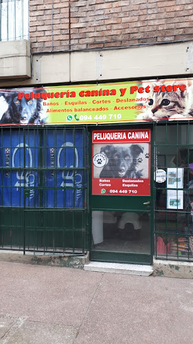 Opiniones de Guau Guau Peluquería Canina en Montevideo - Peluquería