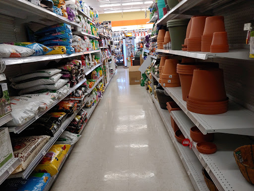 Hardware Store «Ace Hardware Palm Harbor», reviews and photos, 35125 US Hwy 19 N, Palm Harbor, FL 34684, USA