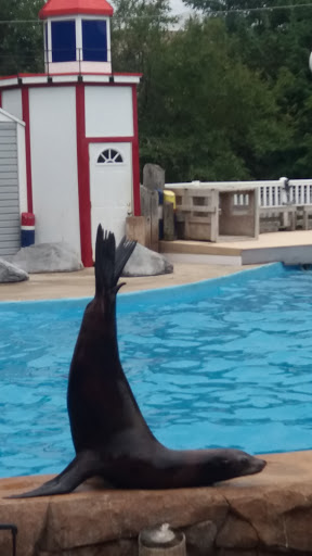 Zoo «Oceans of Fun», reviews and photos, 10001 W Bluemound Rd, Milwaukee, WI 53226, USA