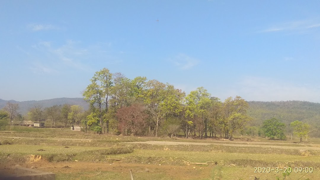 ସାର୍ନା ଧରମ ଜାହେର ଗାଳ, ଆଳୁବଣି