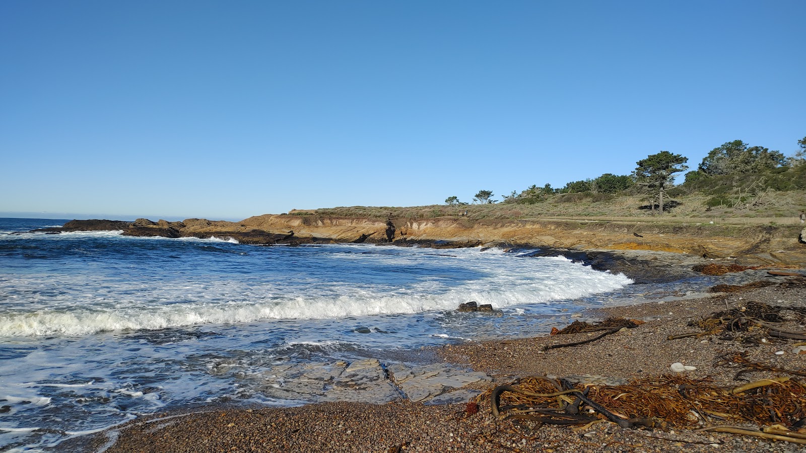 Foto di Weston Beach Point con una costa spaziosa