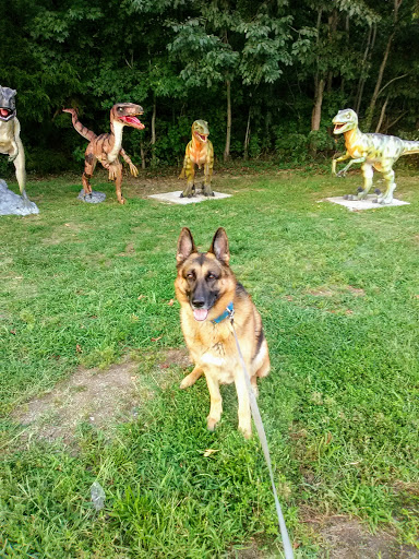 Cigar Shop «Border Store», reviews and photos, 4240 James Madison Pkwy, King George, VA 22485, USA