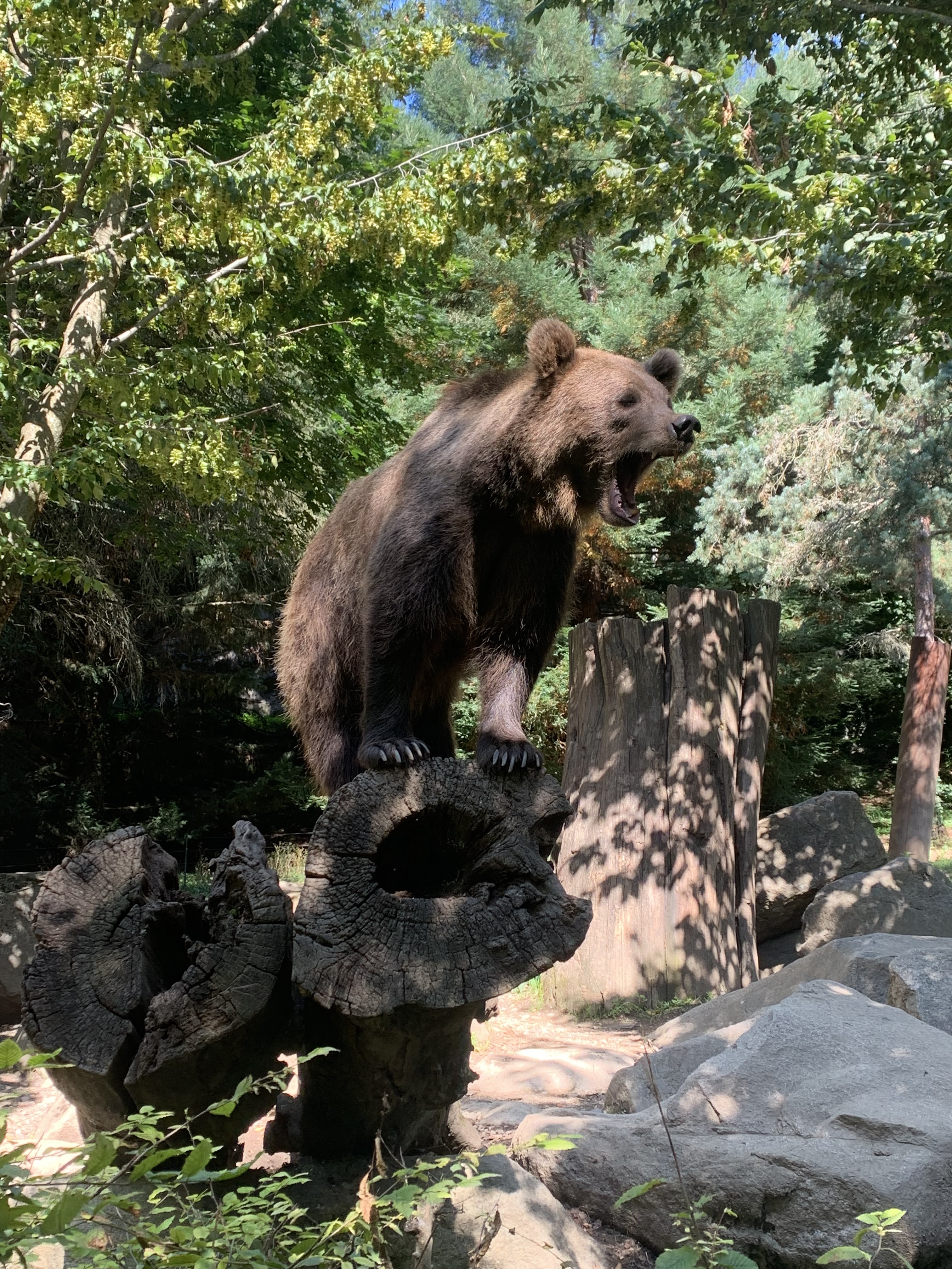 Photo n° 1 de l'avis de Lynkie64. fait le 07/08/2023 à 09:13