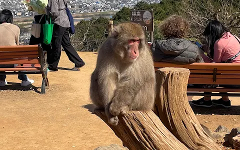 Arashiyama Monkey Park Iwatayama image
