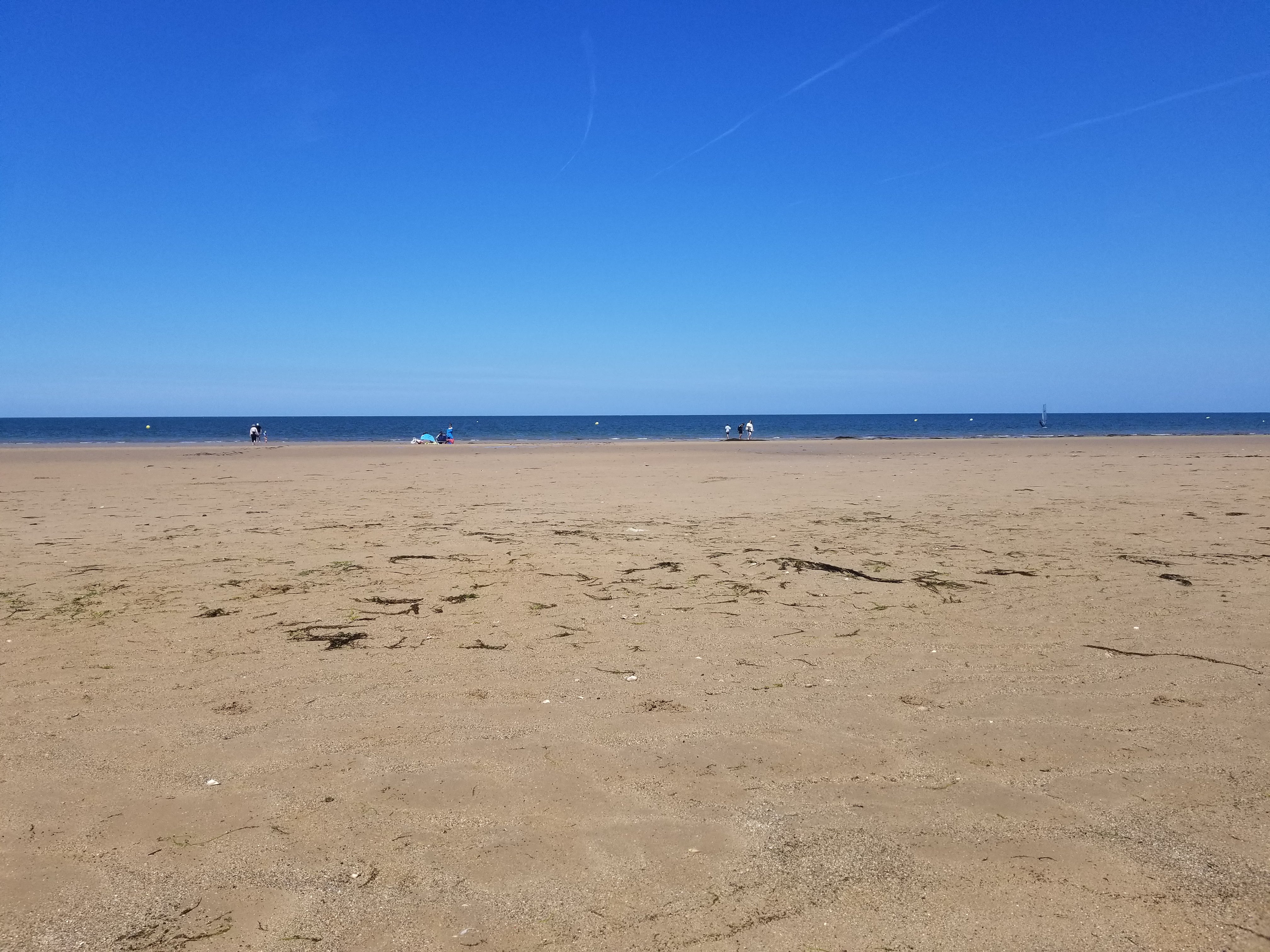 Photo n° 1 de l'avis de Sylvain.B fait le 20/07/2022 à 19:09