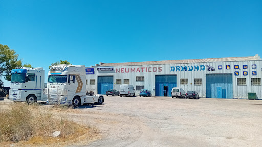 ARMUÑA, NEUMÁTICOS Y SERVICIOS SL en Pedrosillo el Ralo, Salamanca