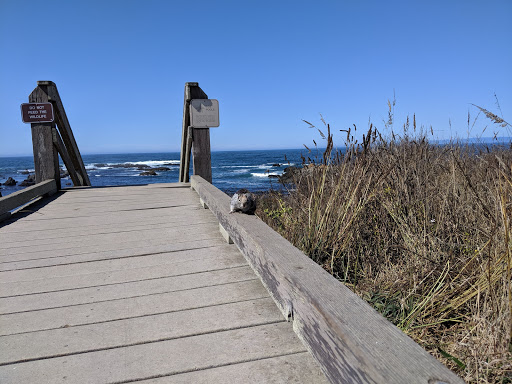 Park «MacKerricher State Park», reviews and photos, 24100 Mackerricher Park Rd, Fort Bragg, CA 95437, USA