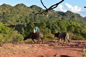 Ko Min Kalaw Trekking Service image