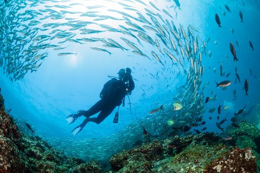 Scuba diving lessons Quito