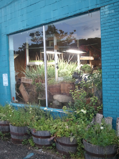 Treehouse For Earths Children Holistic Center, 22906 Mooney St, Farmington, MI 48336, USA, 