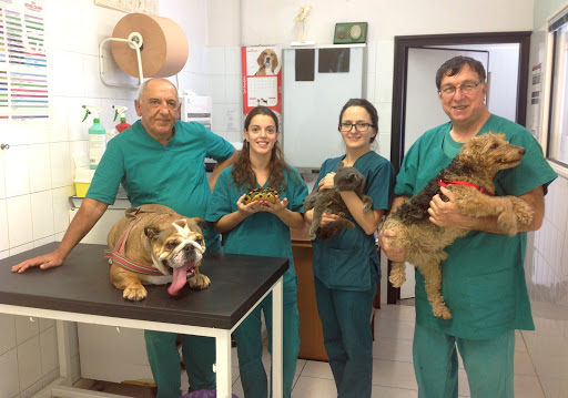 Pensioni per cani e dog hotel a Ambulatorio Veterinario Porta Schiavonia