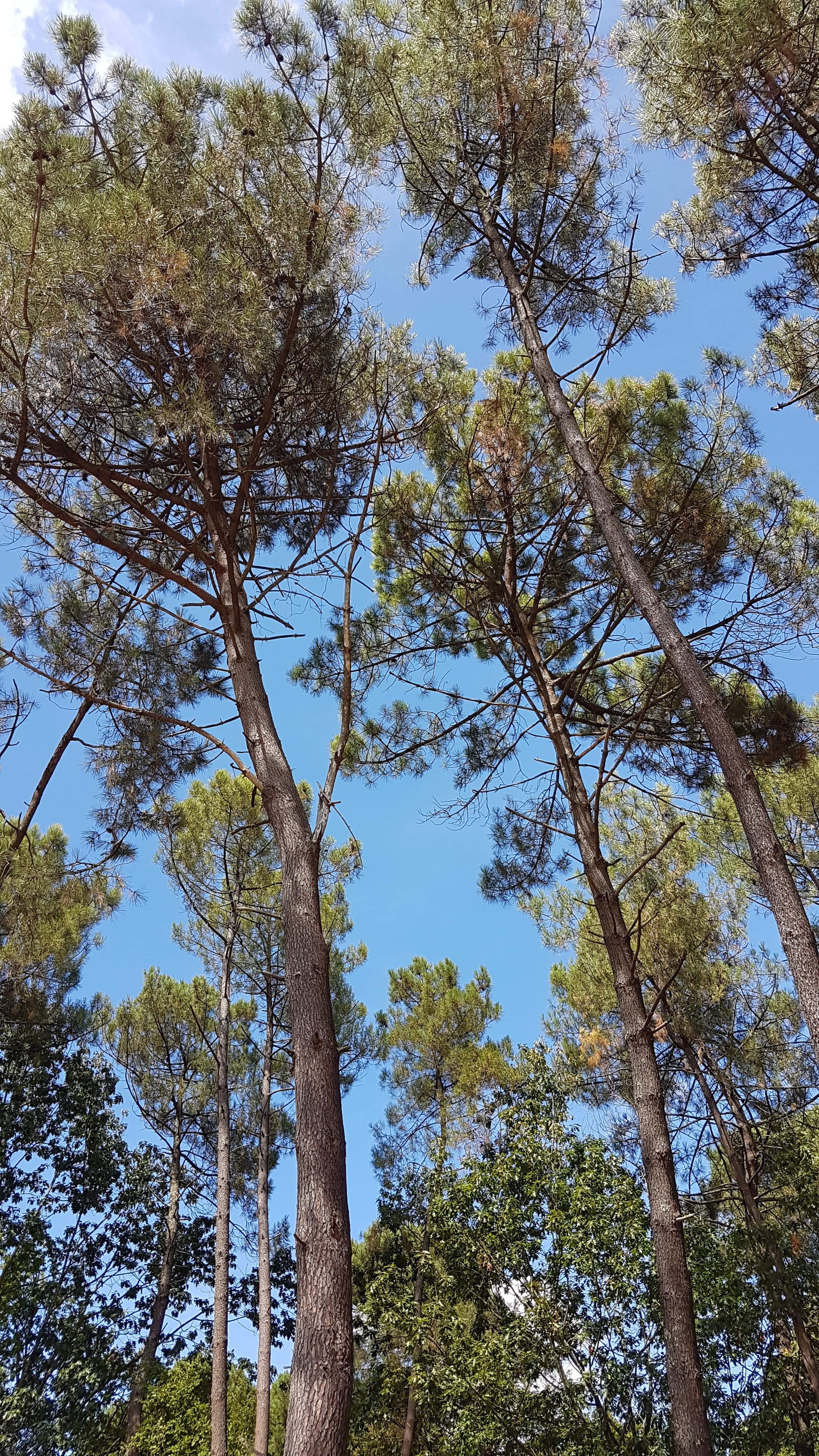 Photo n° 7 de l'avis de Alae. fait le 04/10/2019 à 16:23