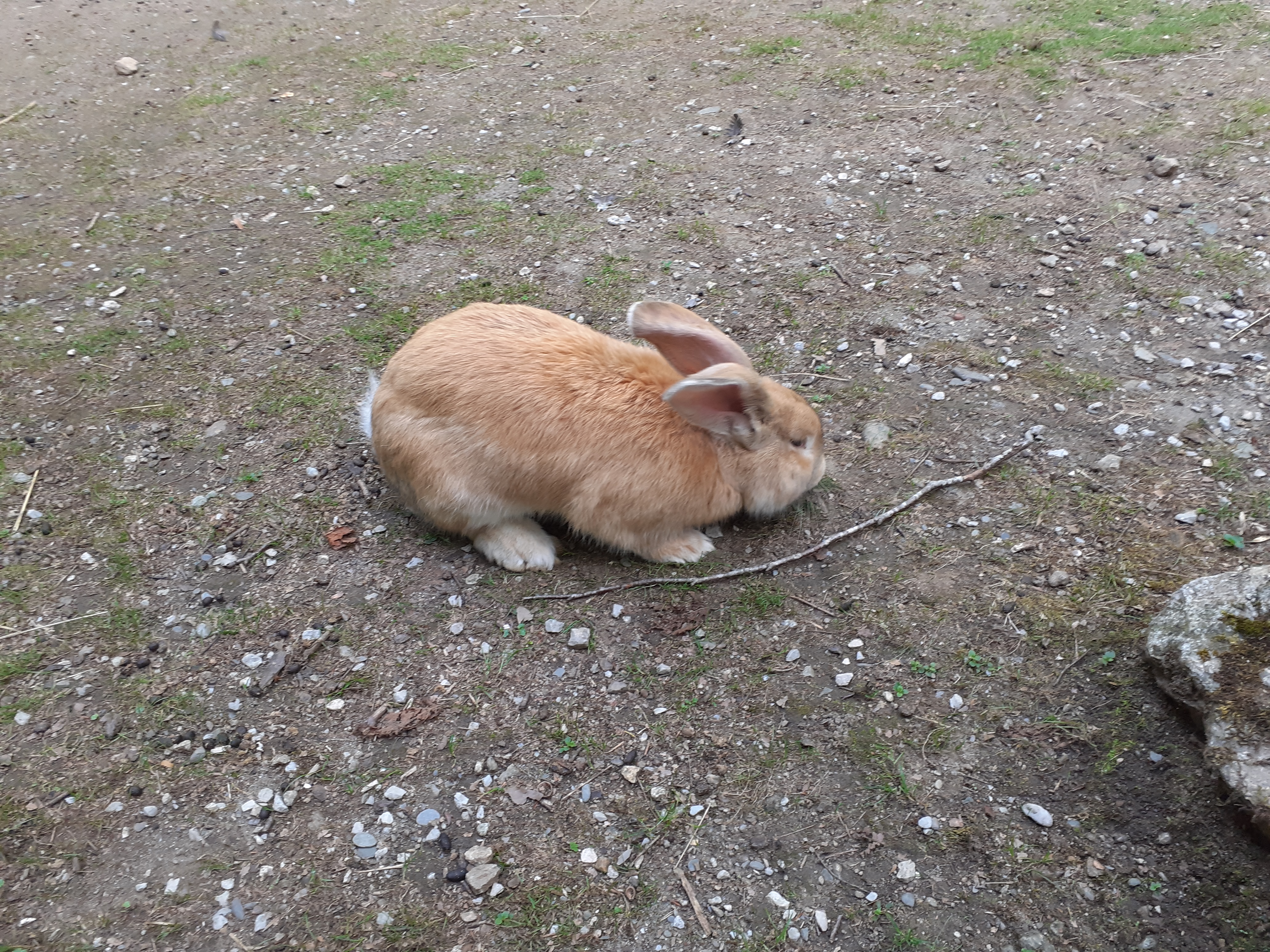 Photo n° 2 de l'avis de Virginie. fait le 06/09/2022 à 13:44