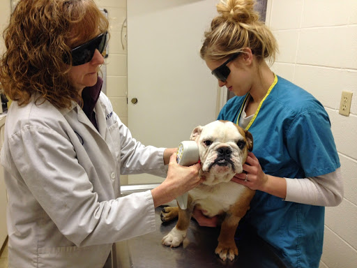 Angel Animal Hospital image