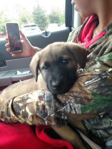 Pet Supply Store «One of the Family Pet Supply LLC», reviews and photos, 288 Lincoln Blvd, Middlesex, NJ 08846, USA