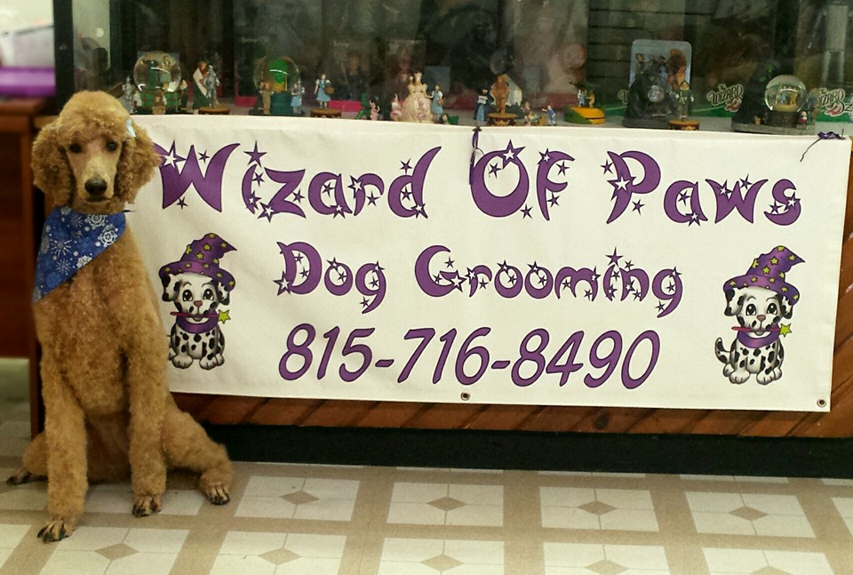 Wizard Of Paws