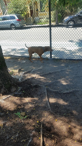 Park «Nunziato Field Dog Park», reviews and photos, Putnam St, Somerville, MA 02143, USA