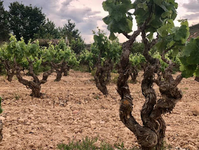 El Escocés Volante Bo. la Rosa Bajo, 16, 50300 Calatayud, Zaragoza, España