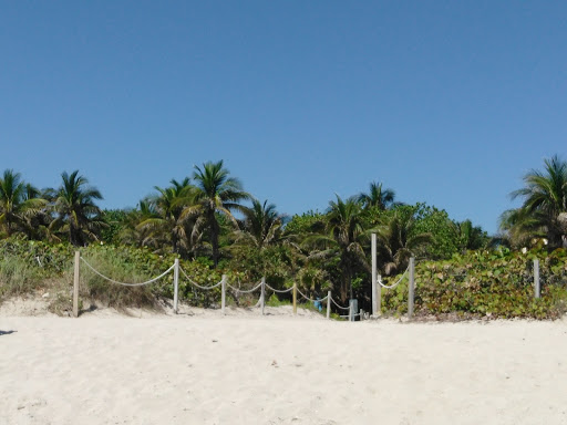 Park «Eighty Seven Park», reviews and photos, 8701 Collins Ave, Miami Beach, FL 33154, USA