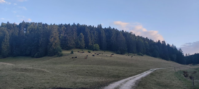 Rezensionen über Etang des Beusses in Neuenburg - Campingplatz