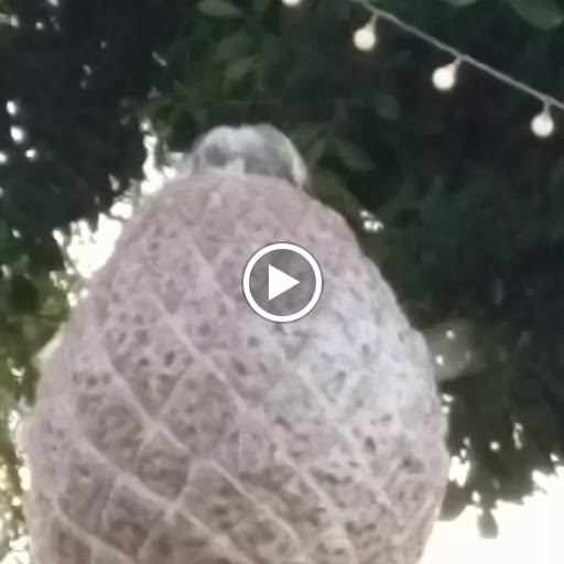 Coffee Shop «Coffee Rush», reviews and photos, 1555 N Gilbert Rd, Gilbert, AZ 85234, USA