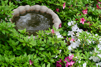 Stroud Photography - Photo 3 - Car repair in , Jackson