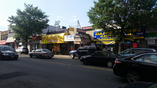 Pet Store «J & J Pet Shop», reviews and photos, 715 E Tremont Ave # 1, Bronx, NY 10457, USA