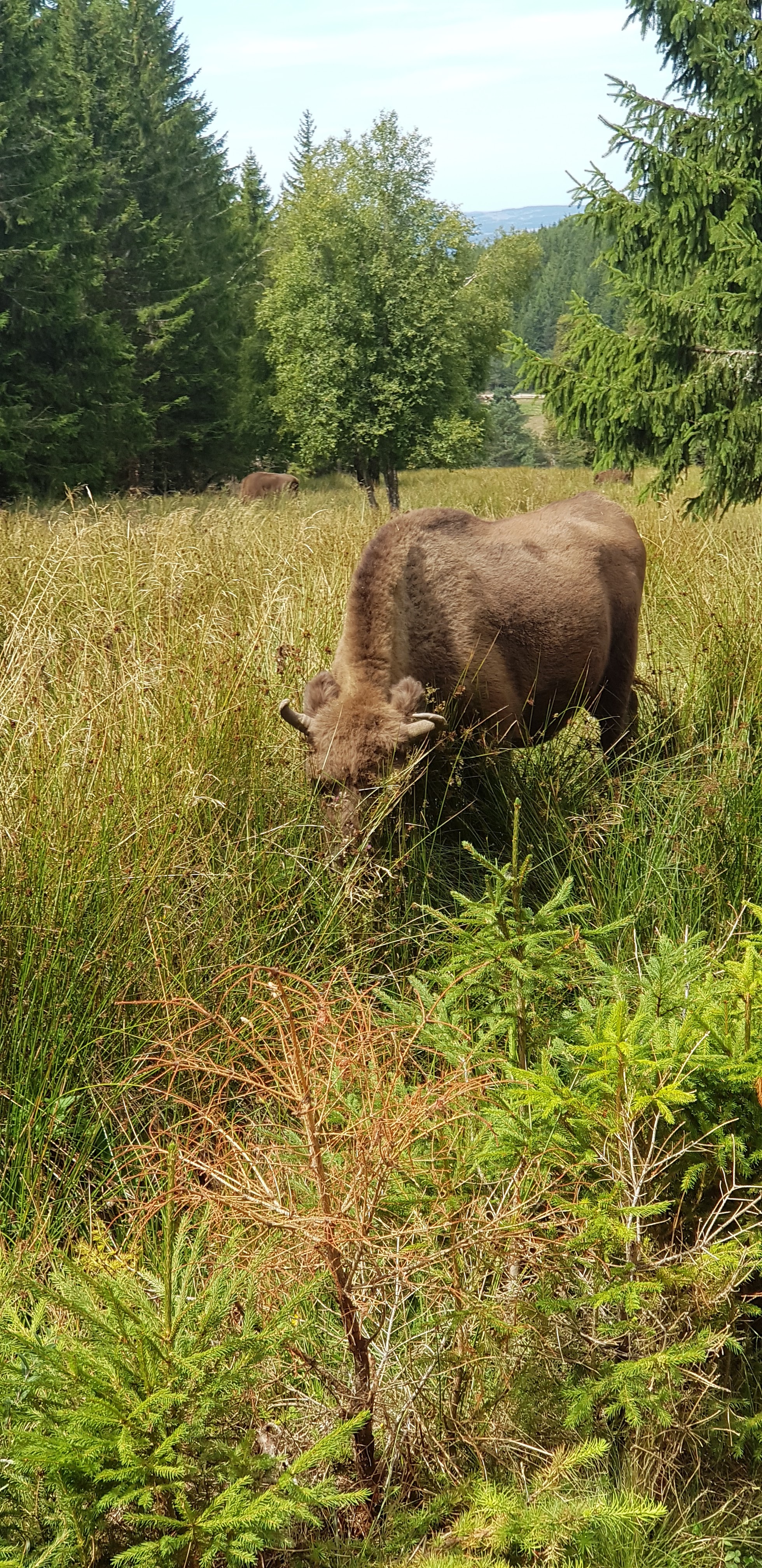 Photo n° 1 de l'avis de Julien.u fait le 04/09/2019 à 16:55