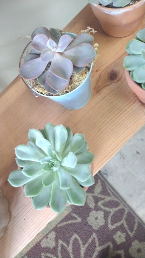 Florist «Tony Rossi Sons Florists», reviews and photos, 1508 Fruitvale Ave, Oakland, CA 94601, USA