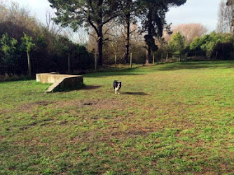 Horseshoe Lake Dog Park