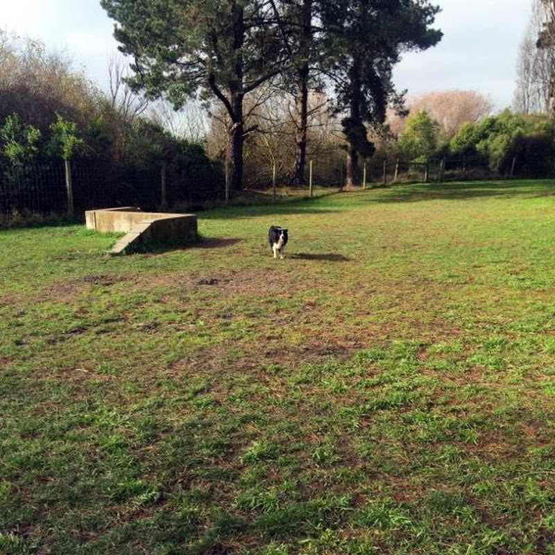 Horseshoe Lake Dog Park