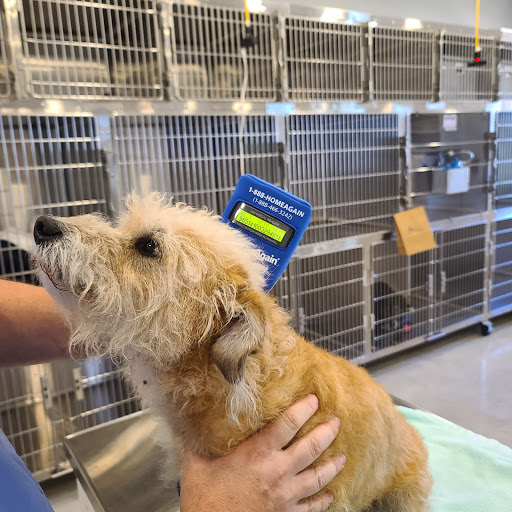 Wildflower Animal Hospital image