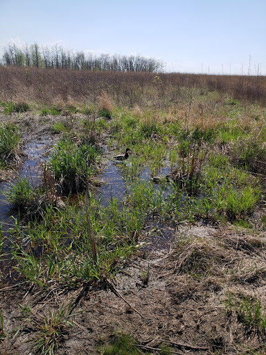 Nature Preserve «Orland Grassland», reviews and photos, 167th Street & S La Grange Road, Tinley Park, IL 60487, USA