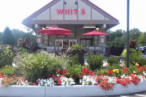 Whit's Frozen Custard image