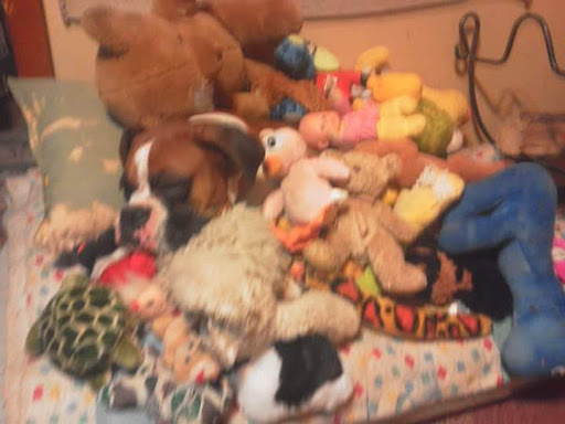 Grocery Store «Kroger», reviews and photos, 1735 N Memorial Dr, Lancaster, OH 43130, USA