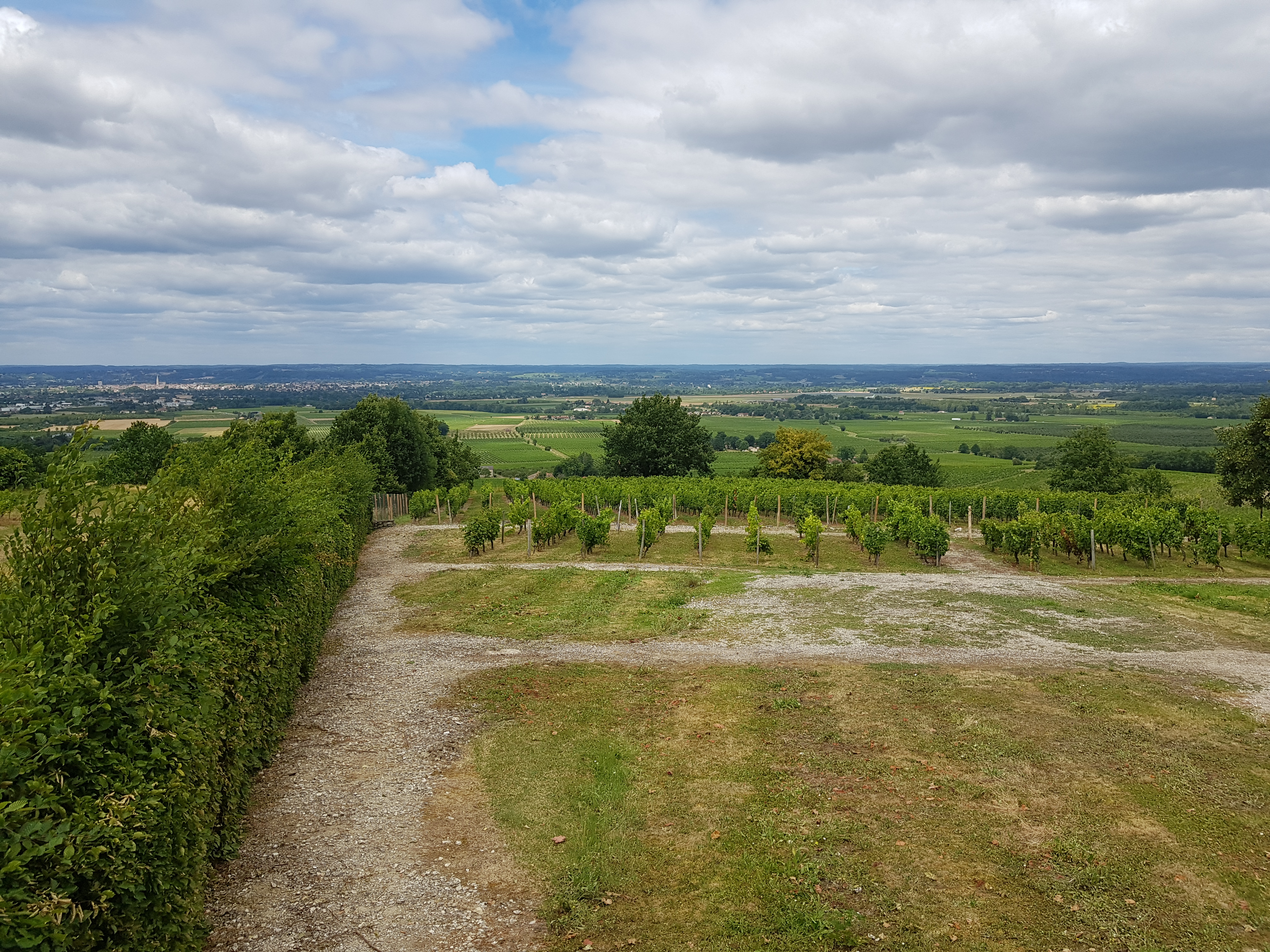 Photo n° 5 de l'avis de Bernard.t fait le 15/07/2020 à 13:31