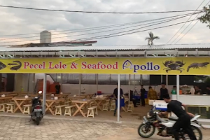 Pecel Lele & Seafood Apollo image