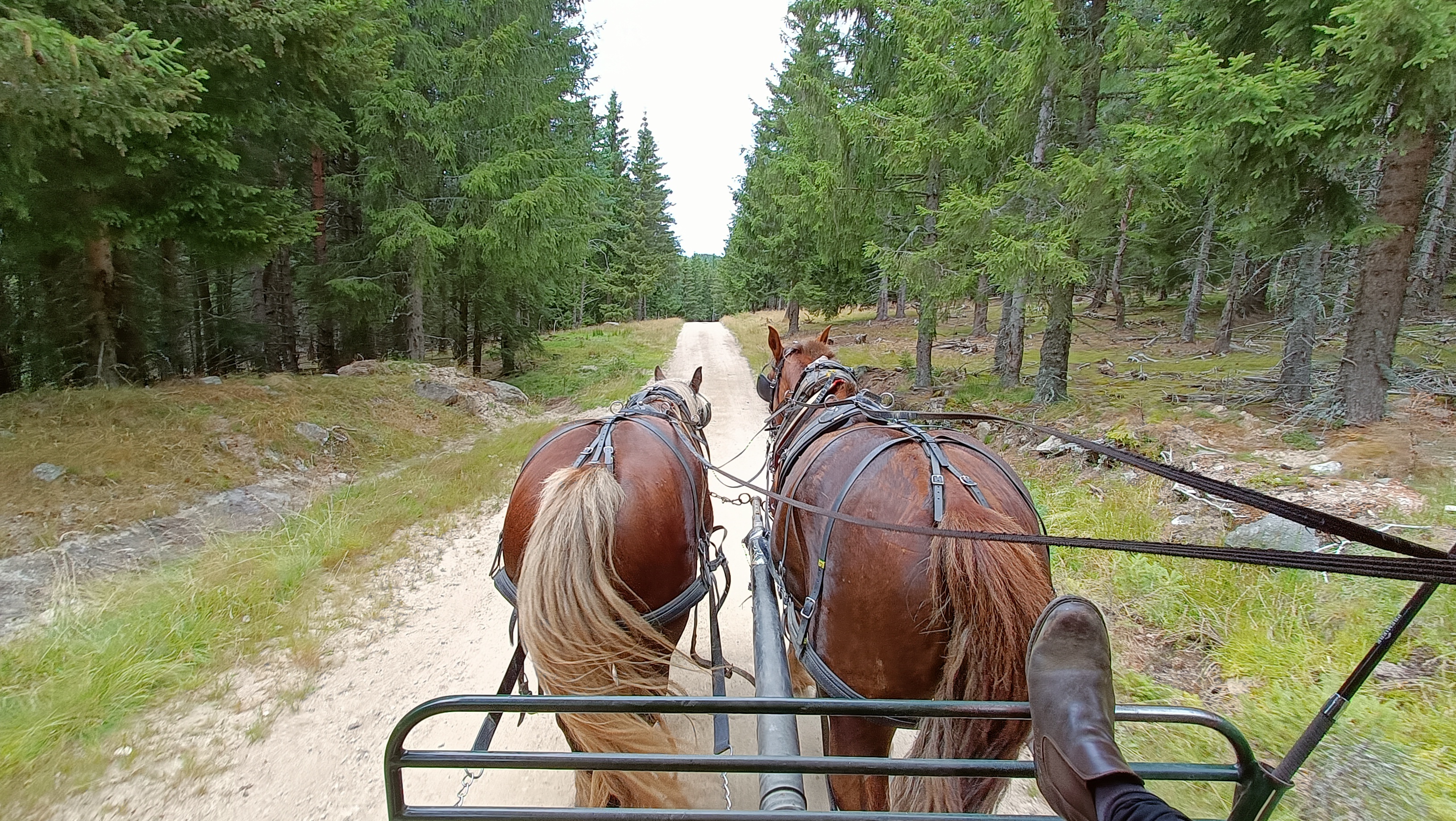 Photo n° 2 de l'avis de Florent.U fait le 10/08/2023 à 21:55