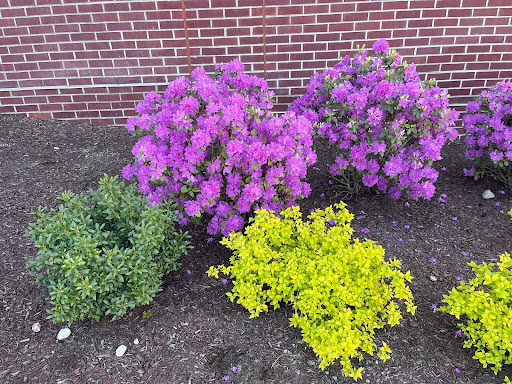 History Museum «Battleship Cove», reviews and photos, 5 Water St, Fall River, MA 02721, USA