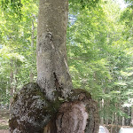 Photo n°1 de l'avis de Francesca. fait le 28/06/2022 à 06:38 sur le  Rifugio Casermette del Monte Penna à Santo Stefano d'Aveto
