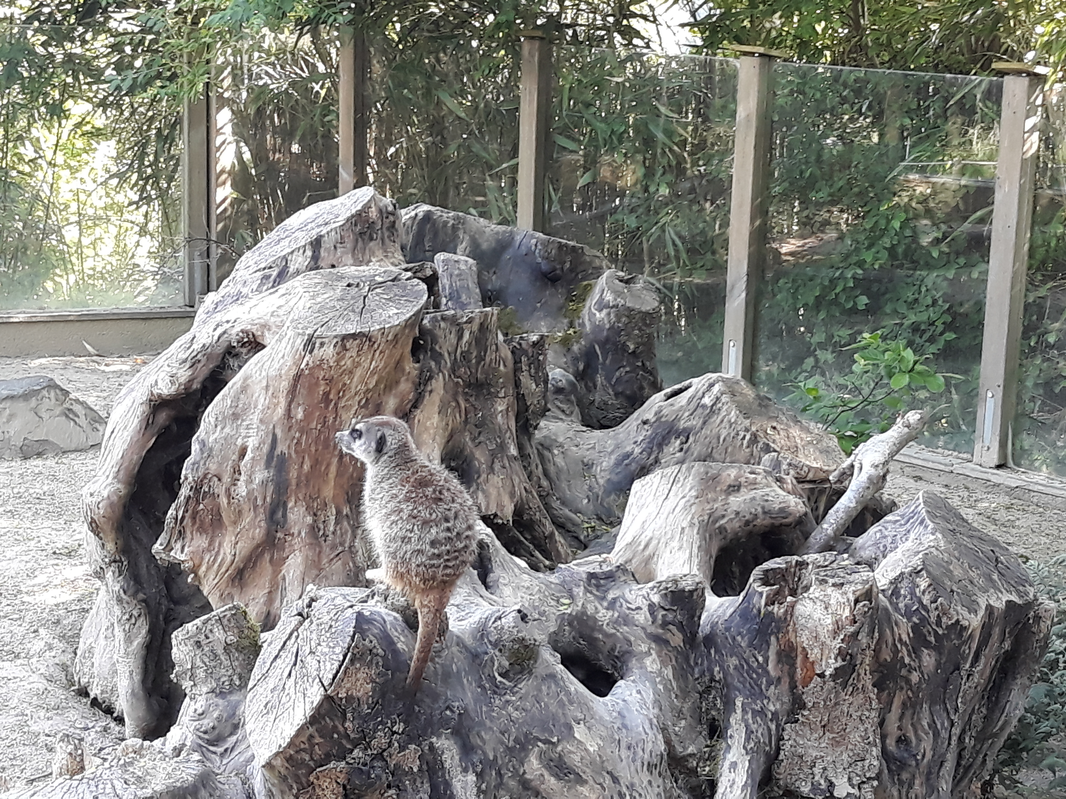 Photo n° 3 de l'avis de Aline.o fait le 23/05/2018 à 09:28