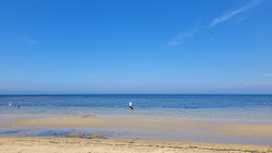 Zdjęcie Beaumaris Beach z poziomem czystości wysoki