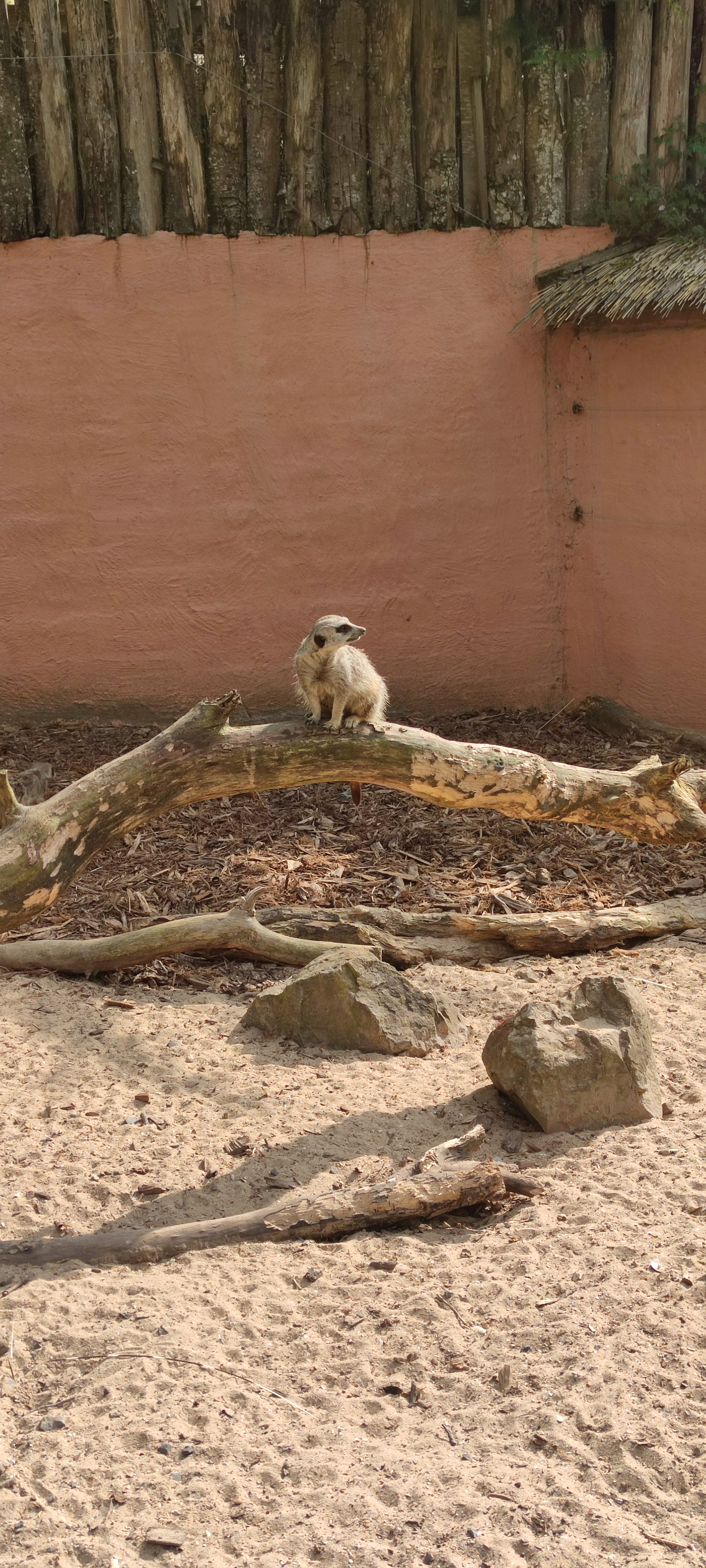 Photo n° 10 de l'avis de Magalie.o fait le 24/07/2021 à 15:03