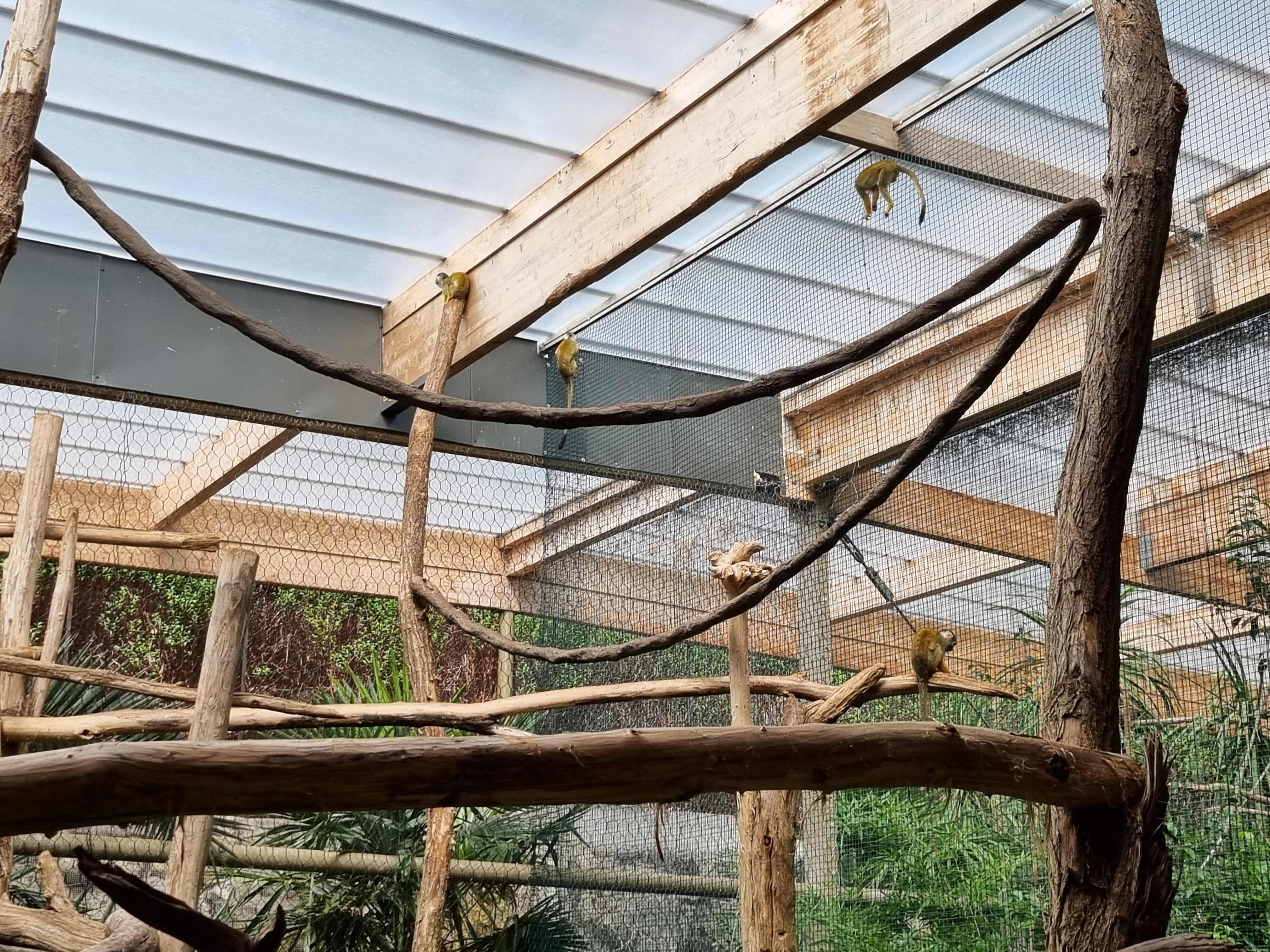 Photo n° 14 de l'avis de alexandre.o fait le 25/08/2022 à 15:51