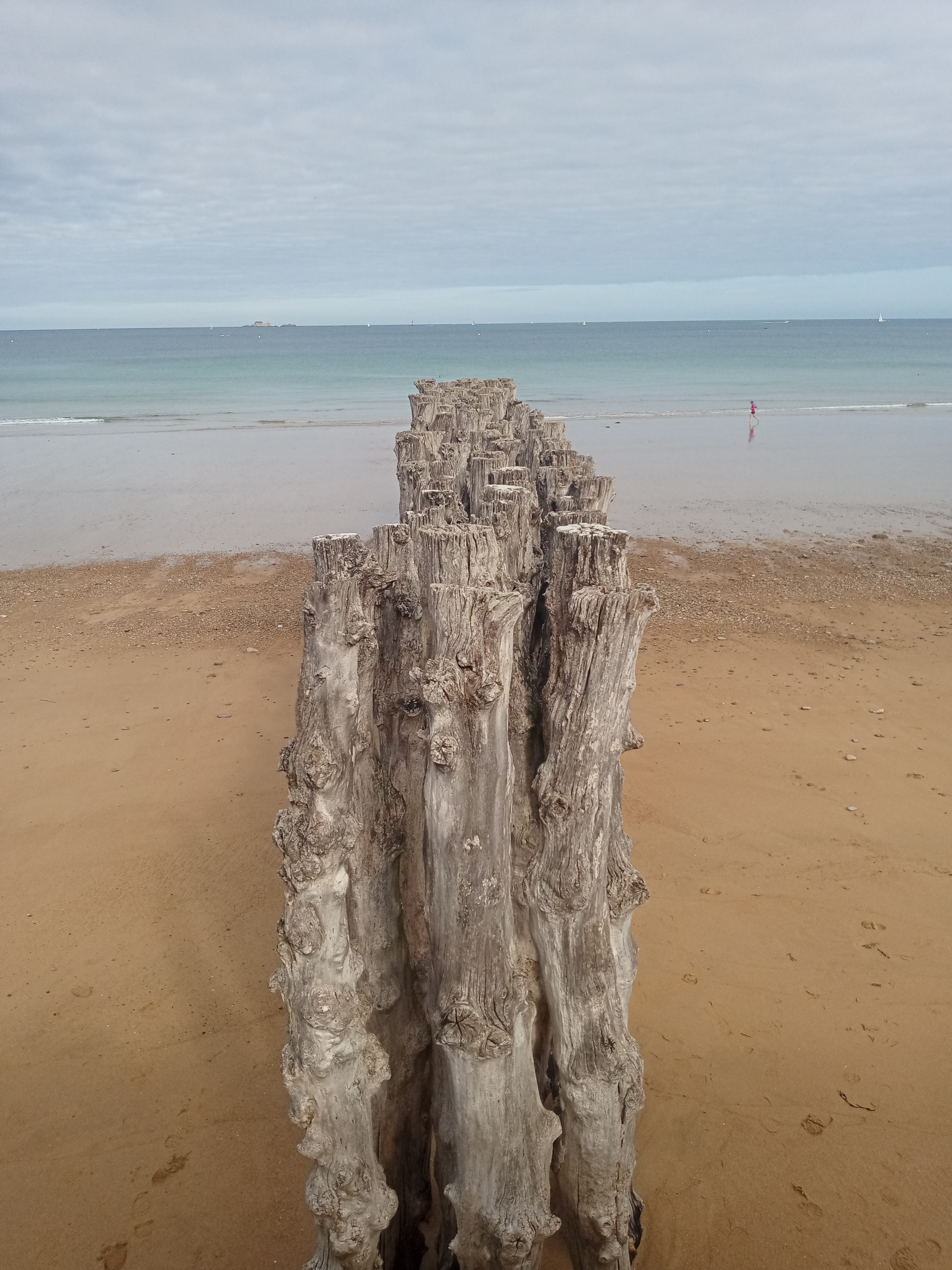 Photo n° 1 de l'avis de Lionel. fait le 15/09/2022 à 17:28