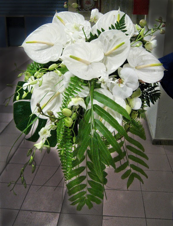 Floristería Goyo