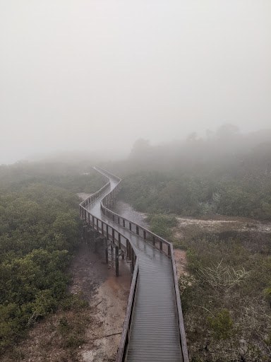 Park «Boca Ciega Millennium Park», reviews and photos, 12410 74th Ave N, Seminole, FL 33772, USA