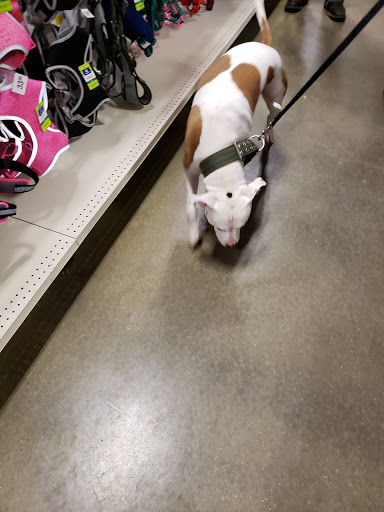 Pet Supply Store «PetSmart», reviews and photos, 8500 N Evanston Ave, Kansas City, MO 64157, USA