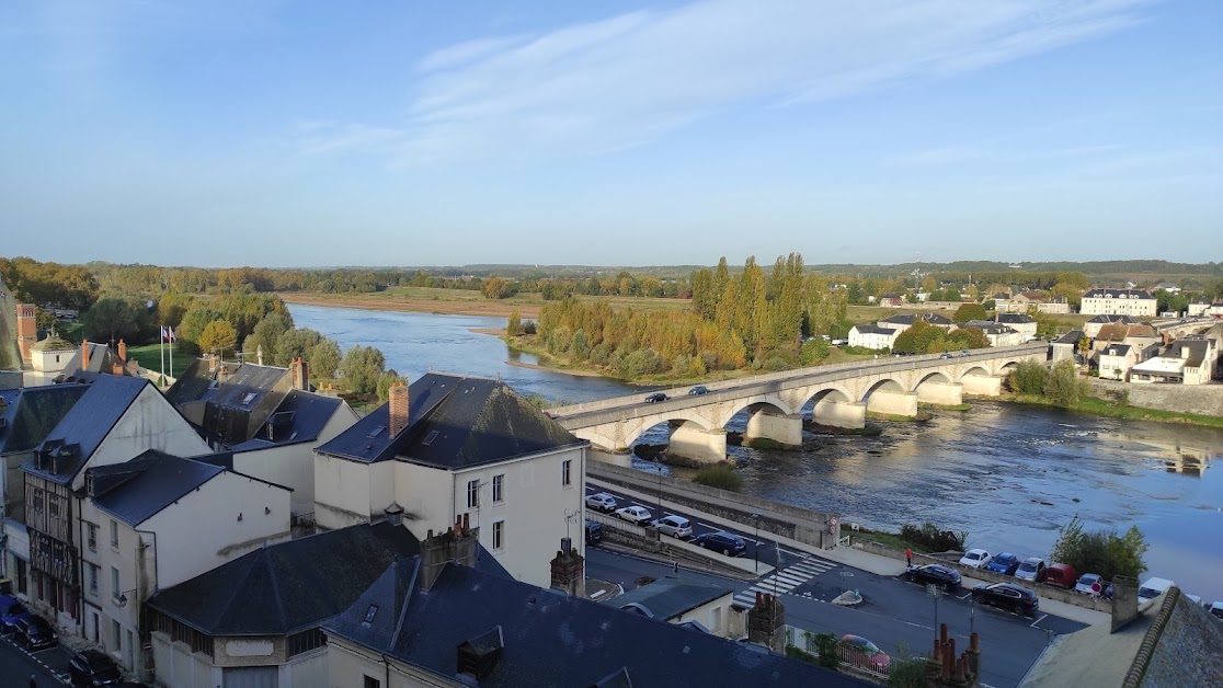 RiverLoire à Amboise (Indre-et-Loire 37)