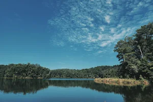 Dog River Reservoir image